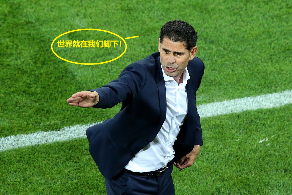 穆雷最新 穆雷最新